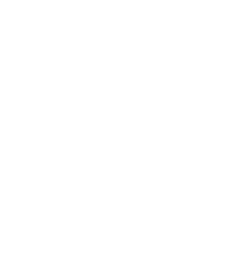 Clear Chattanooga Logo in White